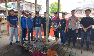 Warga Gaung Inhil Evakuasi Seekor Buaya Muara Sejak Tengah Malam hingga Dini Hari
