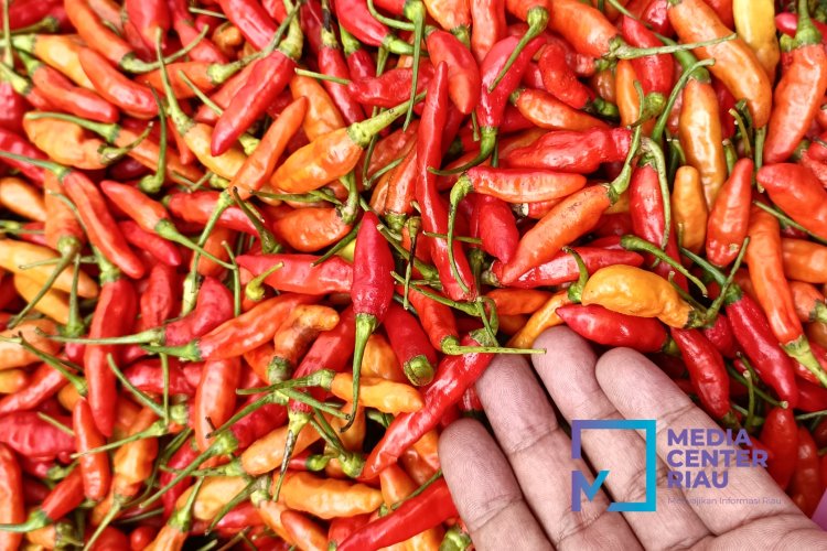 Harga Perhiasan Emas hingga Cabai Rawit Jadi Pemicu Inflasi Tahunan Riau 4,55 Persen pada Juni 2026, Tertinggi di Kampar 4,90 Persen