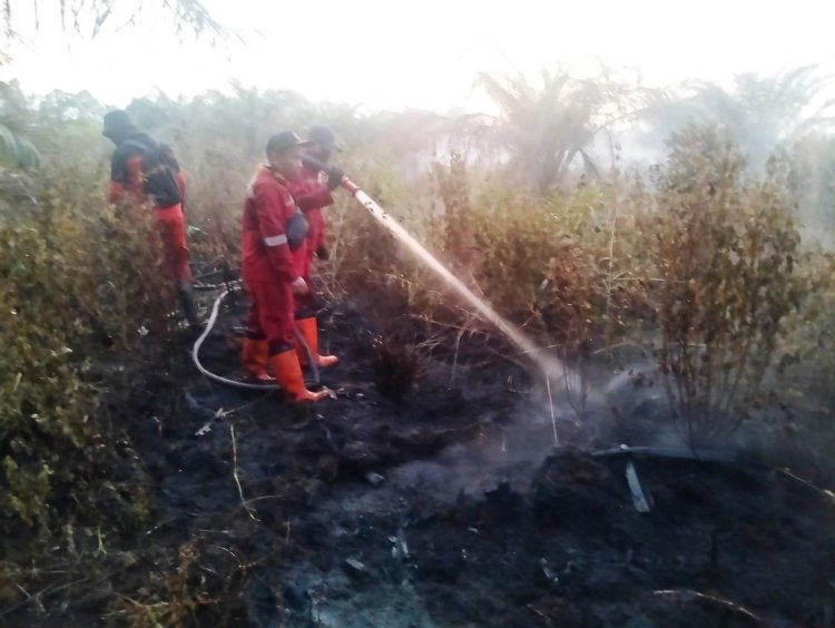 14 Titik Panas Menyala di Riau, 1 Hektare Gambut Terbakar di Air Hitam Pekanbaru, Manggala Agni Ingatkan Jangan Bakar Lahan