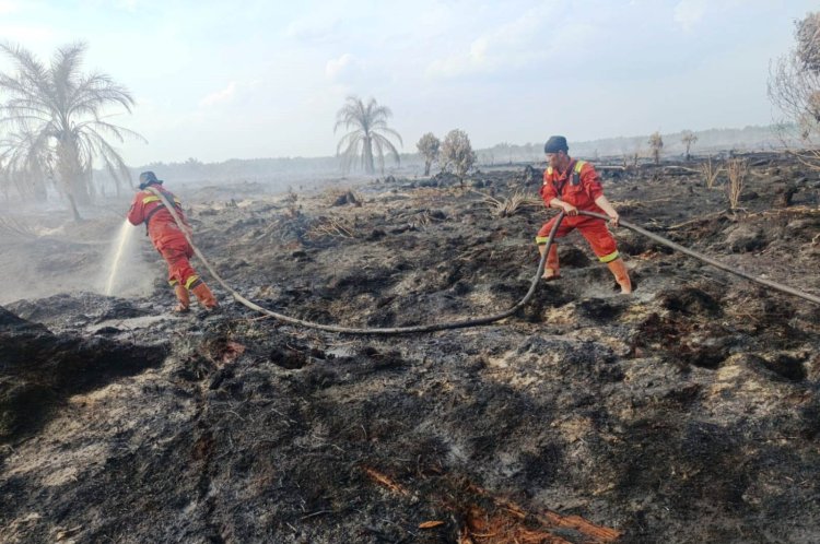 Tim Manggala Agni Padamkan Karhutla 2 Hektare di Dusun Pulau Putri Rokan Hilir