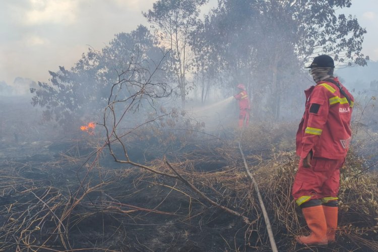 43 Titik Panas Menyala di Riau, Tim Manggala Agni Menginap Dekat Lokasi Karhutla Desa Pematang Pudu Bengkalis