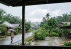 Prakiraan Cuaca Riau 6 Agustus 2026, BMKG Ungkap Masih Ada Hujan Ringan Lokal di Tiga Daerah pada Pagi hingga Sore Hari