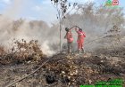 165 Titik Panas Menyala di Riau, Manggala Agni Berjibaku Padamkan Karhutla di Inhu dan Bengkalis