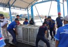 Kandang Perangkap Harimau Sudah Dipasang Tim BBKSDA Riau di Desa Danai Inhil, Masyarakat Masih Dihantui Ketakutan