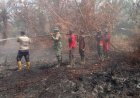 87 Titik Panas Menyala di Riau, Terbanyak di Pelalawan 40 Hotspot, Tim Gabungan Perangi Karhutla di Tiga Lokasi