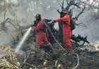 207 Titik Panas Menyala di Riau, Tim Gabungan Fokus Sisir Sisa Bara Api Karhutla di Kerumutan Pelalawan