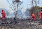 BRIN Jelaskan Efektivitas Tepung Singkong Padamkan Karhutla