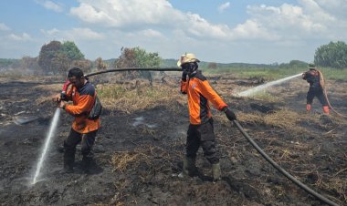 25 Titik Panas Menyala di Riau, Pemkab Rohil Tetapkan Status Darurat Karhutla Hingga November 2026