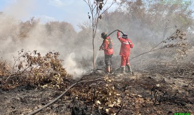 165 Titik Panas Menyala di Riau, Manggala Agni Berjibaku Padamkan Karhutla di Inhu dan Bengkalis