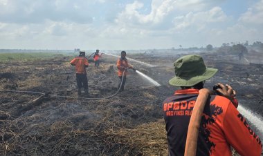 Titik Panas Terbanyak di Bengkalis, Riau Masuk Daftar Provinsi Prioritas Penanganan Karhutla Nasional