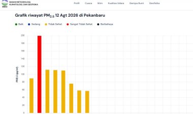 Kualitas Udara Pekanbaru Tidak Sehat 12 Agustus 2026, Konsentrasi Partikulat 57 µg/m³ hingga Pukul 07.00 WIB