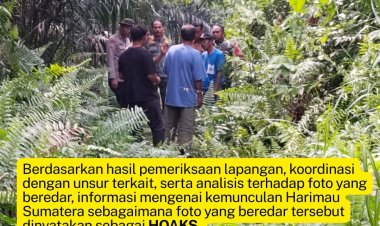 Informasi Harimau Muncul di Pasir Putih Kampar Hoaks, BBKSDA Riau: Tak Ada Jejak di Lokasi