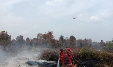 86 Titik Panas Menyala di Riau, Angin Kencang Hambat Pemadaman Karhutla di Bengkalis dan Rohil