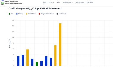 Kualitas Udara Pekanbaru Tidak Sehat 17 Agustus 2026, 52 Titik Panas Menyala di Riau, Manggala Agni Berjibaku Padamkan Karhutla