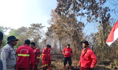 Manggala Agni Riau Peringati HUT ke-81 Kemerdekaan RI di Lokasi Karhutla, 50 Titik Panas Menyala Kemarin Sore