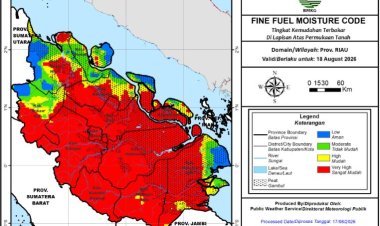 75 Titik Panas Menyala di Riau, Terbanyak di Pelalawan 38 Hotspot