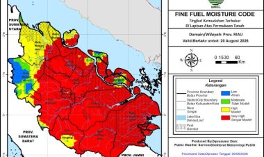 67 Titik Panas Menyala di Riau, Terbanyak di Pelalawan 50 Hotspot, Tim Gabungan Padamkan Karhutla 10 Ha di Kerumutan