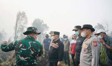 Tim Gabungan Pastikan Tidak Ada Api Susulan di Desa Sungai Guntung Hilir Inhu, Plt Gubri dan Forkopimda Riau Turun ke Lokasi Karhutla