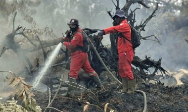 207 Titik Panas Menyala di Riau, Tim Gabungan Fokus Sisir Sisa Bara Api Karhutla di Kerumutan Pelalawan