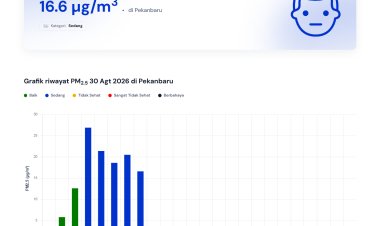 Kualitas Udara Pekanbaru 30 Agustus 2026 Sedang Usai Hujan Deras Malam Minggu, 264 Titik Panas Menyala di Riau