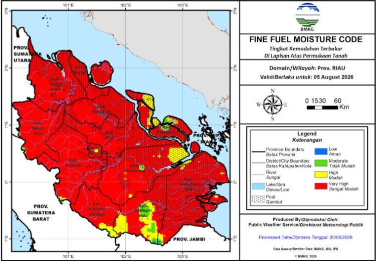 44 Titik Panas Menyala di Riau, Manggala Agni Terkendala Krisis Sumber Air hingga Arah Angin yang Berubah-ubah