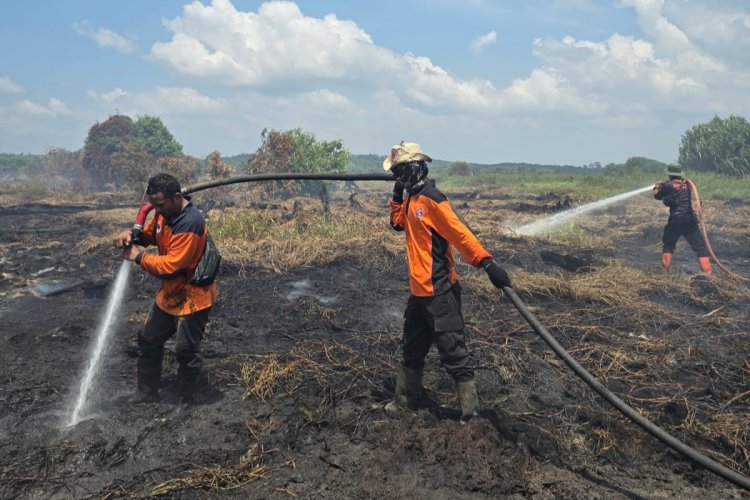 25 Titik Panas Menyala di Riau, Pemkab Rohil Tetapkan Status Darurat Karhutla Hingga November 2026