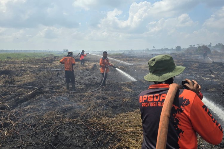 Titik Panas Terbanyak di Bengkalis, Riau Masuk Daftar Provinsi Prioritas Penanganan Karhutla Nasional