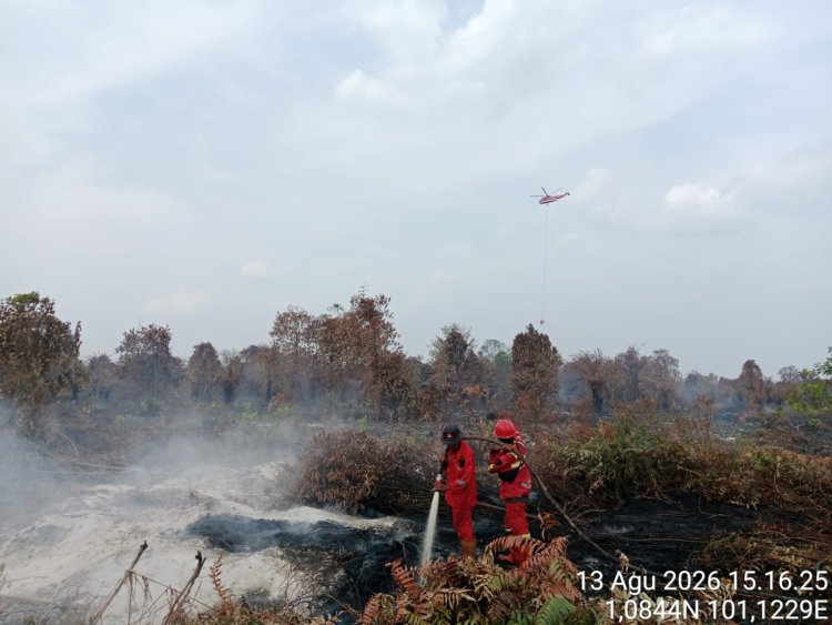 86 Titik Panas Menyala di Riau, Angin Kencang Hambat Pemadaman Karhutla di Bengkalis dan Rohil