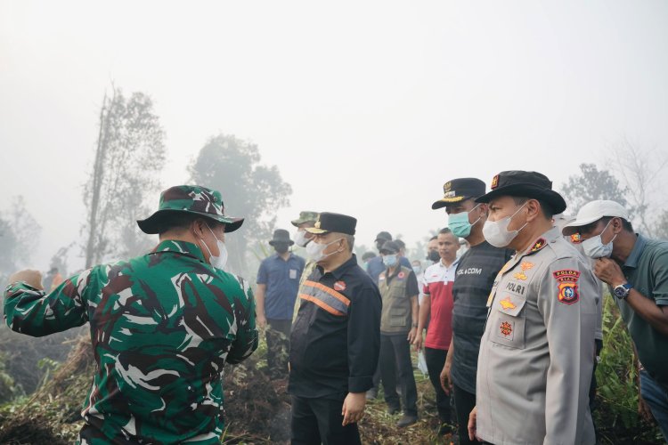 Tim Gabungan Pastikan Tidak Ada Api Susulan di Desa Sungai Guntung Hilir Inhu, Plt Gubri dan Forkopimda Riau Turun ke Lokasi Karhutla