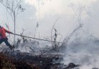 3,8 Juta Lansia Dibayangi Ancaman Masalah Paru-paru hingga Jantung Imbas Karhutla