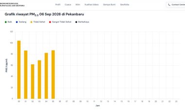 Kualitas Udara Pekanbaru 6 September 2026 Tidak Sehat, 191 Titik Panas Menyala di Riau, 706 Orang Terdampak ISPA