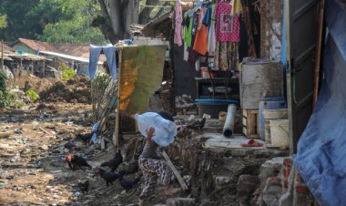 Studi: Tinggal di Kawasan Kumuh Bisa Merusak Otak