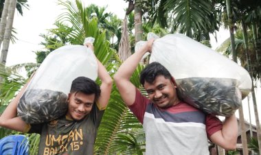 Kisah Feri Hamdan Bangkitkan Semangat Kelompok Tunas Mandiri dalam Budidaya Ikan Patin
