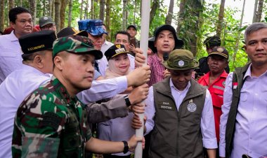 Dari Kunker Menhut, Bupati Bengkalis Kasmarni Komitmen Jaga Gambut dan Perkuat Restorasi