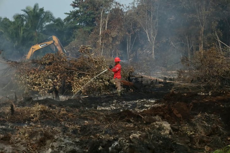 18.770 Hektare Lahan Terbakar di Riau Sejak 1 Januari 2026, BPBD dan Damkar Riau: Terluas di Bengkalis 8.454,40 Ha